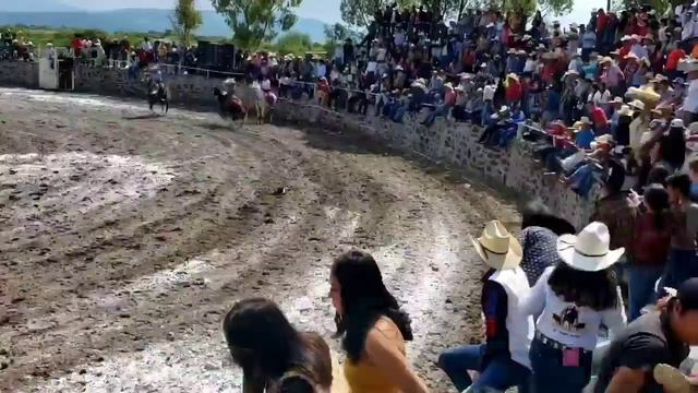 EL DAMAZO DE LOS LICENCIADOS PUSO EN PANICO LA PLAZA DE LAS EMOCIONES " LA PALO DULCE" 26/Jul/20 смотреть онлайн