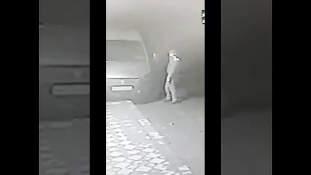 Нетипичная Махачкала воры в степном 31.01.2015 в 5 смотреть онлайн