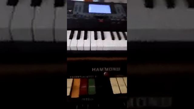 HAMMOND X-66 & RHYTHM ACE-TONE Autor ; AUGUSTO LIRA смотреть онлайн