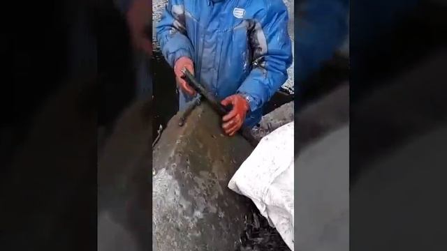 Нашли Клад металла магнитом 2 часть смотреть онлайн