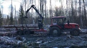 Форвардер за четверть цены. Лесозаготовка трактором МТЗ и прицепом с приводом АРМАДА.mp4