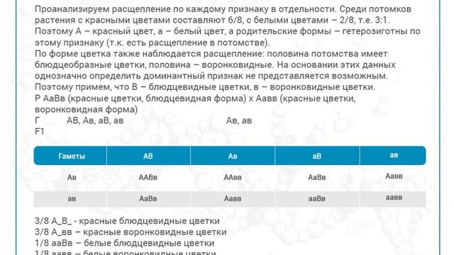 С6 - Решение задач на дигибридное скрещивание смотреть онлайн