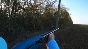 ОХОТА НА ФАЗАНА