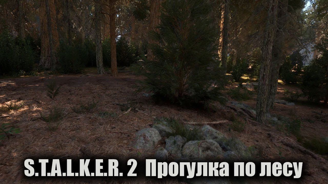 S.T.A.L.K.E.R. 2 ☢ Прогулка по лесу ☢ UE 5 [1440] смотреть онлайн