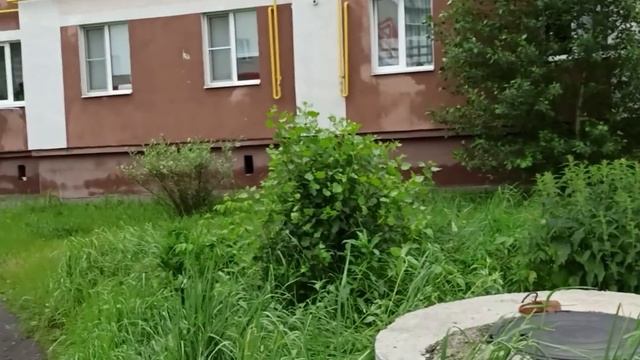 А ВОЗ И НЫНЕ ТАМ !!! // и смех и грех !!!.// смотреть онлайн