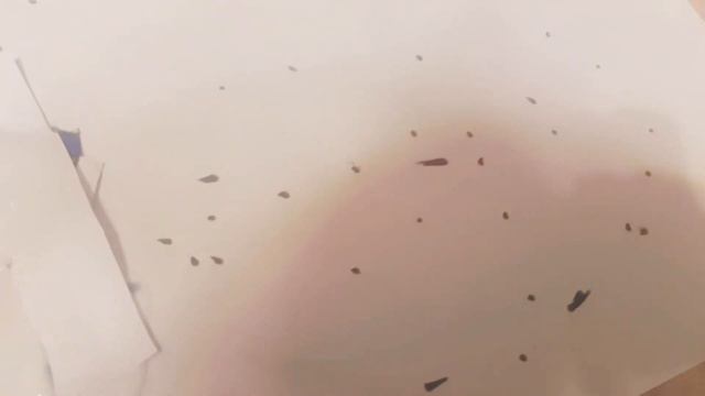 амонг ас 4 смотреть онлайн