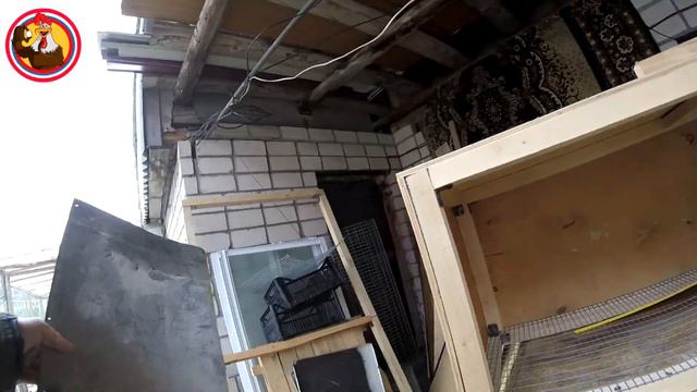 Три яйца из под гусыни смотреть онлайн