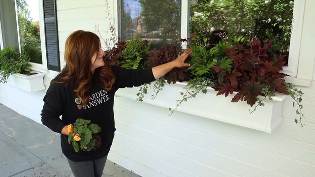 Planting a Shaded Windowbox! 🌿🥰// Garden Answer смотреть онлайн