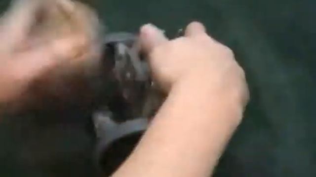 Kirby Vacuum Service смотреть онлайн