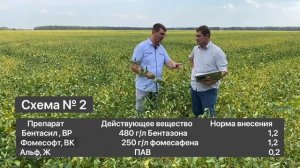 СХЕМЫ ЗАЩИТЫ СОИ от сорняков. Наш опыт