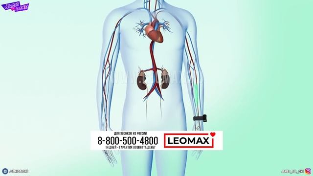 Треш ОБЗОР телемагазинов - Старт 3в1, ПОЗОРНЫЙ ноутбук IRBIS и Кардио КОМПАКТ от ЛЕОМАКС за 5 ТЫСЯЧ смотреть онлайн