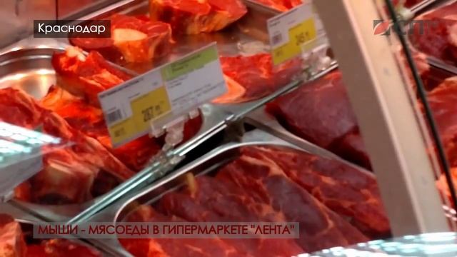Антисанитария в магазине "Лента". Мыши едят мясо на прилавках. смотреть онлайн