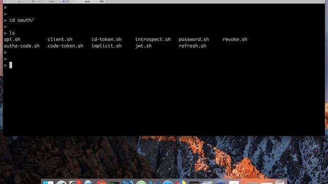 OAuth 2.0 with cURL смотреть онлайн