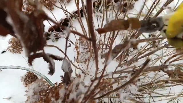 это случилось НЕОЖИДАННО// их надо СПАСАТЬ// что нас ожидало на даче смотреть онлайн