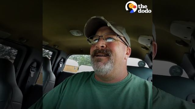 Stray Dog Shows Up on Couple's Porch And Changes Their Mind About Dogs | The Dodo Pittie Nation смотреть онлайн