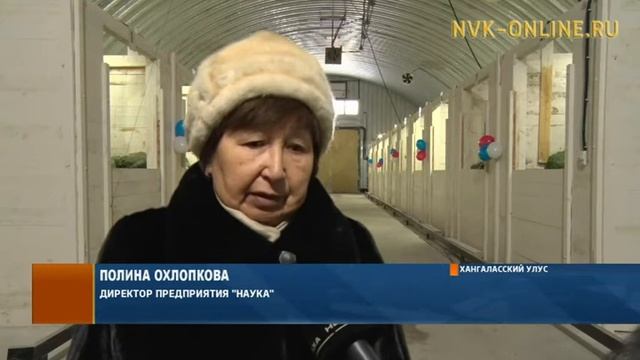 В Покровске открыли первое в республике специализированное картофелехранилище