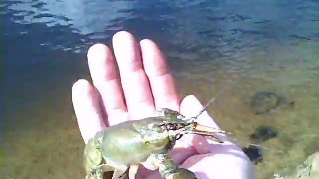 Рак смотреть онлайн