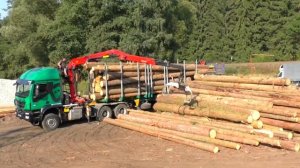 Изучаем строительный транспорт. Что лишнее? Тесты на логику для детей.