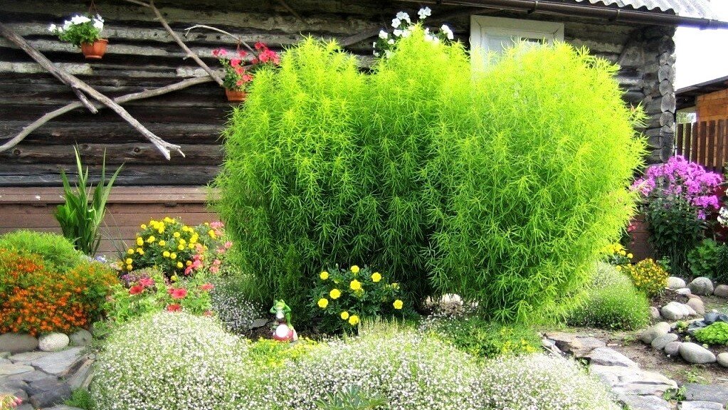 ?Красивые идеи для любимого сада / The best ideas for a beautiful garden / A - Video смотреть онлайн