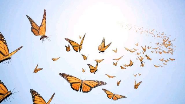 Выпускной вальс! Прощальный вальс в детском саду смотреть онлайн