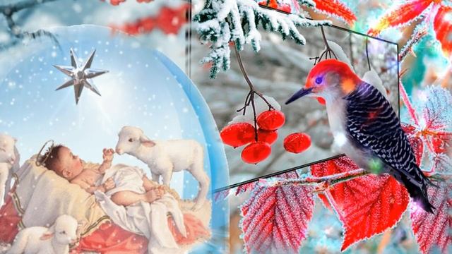 С Рождеством Христовым ! Красивое музыкальное поздравление?рождественская открытка в рождество смотреть онлайн