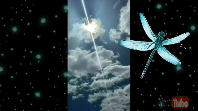 Adventures with “Raven&Me”; an Oracle of Delphi ✝️⭐️??? смотреть онлайн