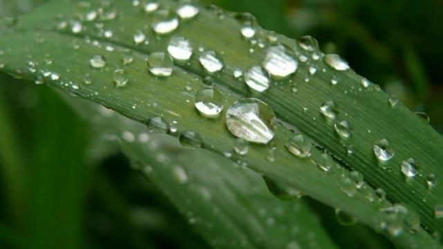 День Земли   ГКСУ СО Новоаннинский ЦПД