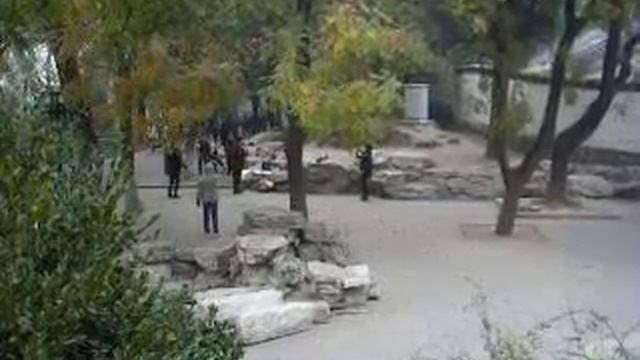 Парк Beihai (Пекин): совсем немного красивого караоке смотреть онлайн