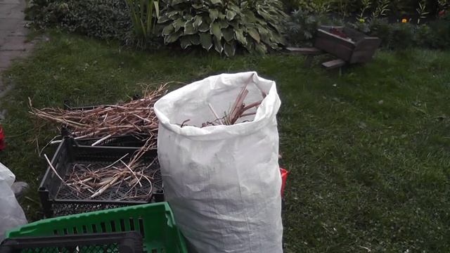 Луково-чесночное смотреть онлайн