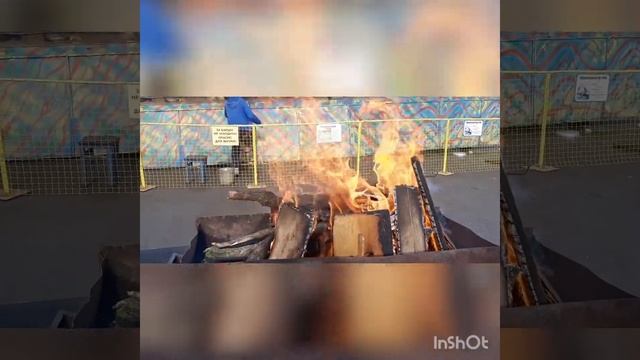 Сазан на мангале ?????? смотреть онлайн