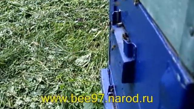 Пчелы и мед Bees And Honey