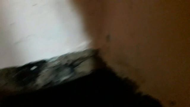 ЗАБРАЛАСЬ В ЗАБРОШЕННЫЙ ДОМ!СБОР ЯГОД!НЕБОЛЬШИЕ ИЗМЕНЕНИЯ В ДОМЕ!