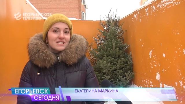 В Московской области проходит экологическая акция «Подари своей ёлке вторую жизнь» смотреть онлайн