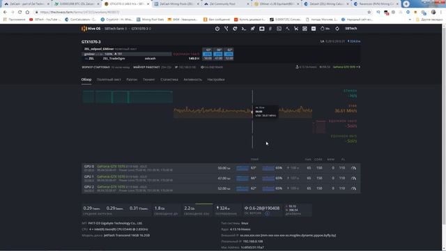 ZelCash конкурент Raven coin Майнинг HiveOS смотреть онлайн