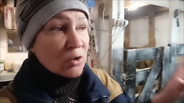 Рацион Коровы/ Кормление и содержание наших КОРОВ/ смотреть онлайн