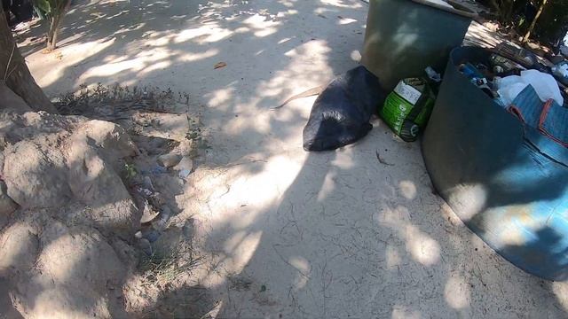 Вараны на острове Бамбу смотреть онлайн