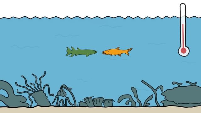 Which Fish Did We Evolve From? смотреть онлайн
