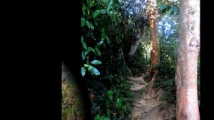 Экскурсия в Национальный парк Као Лак Ламру Таиланнд