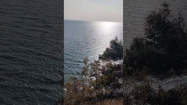 Осень, море ,небо, корабли . Море онлайн , Новороссийск , Геленджик . Sea Fishing Rest Patrick 2023 смотреть онлайн