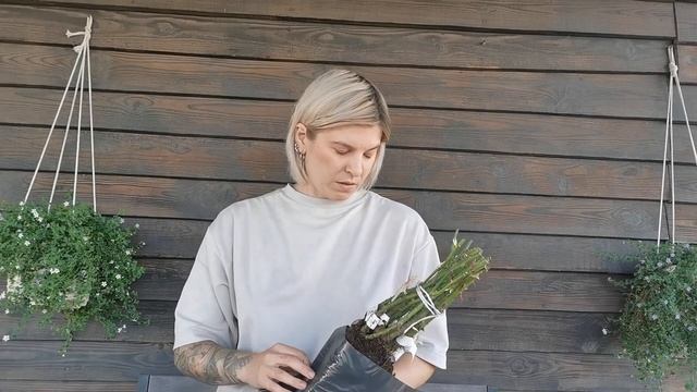 Распаковка посылок с розами из питомников роз Розафлора и Элит. смотреть онлайн