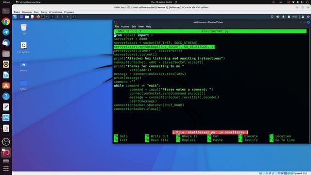 #5 [Хакинг для начинающих] TCP - сервер на Python. смотреть онлайн