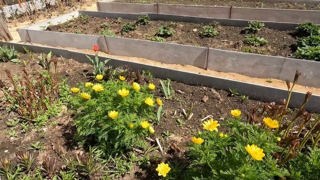 Купили продукты для дачи. Остаёмся жить на несколько дней. смотреть онлайн