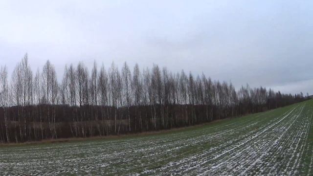 Лиса из под эстонской гончей. Работа выжлеца смотреть онлайн