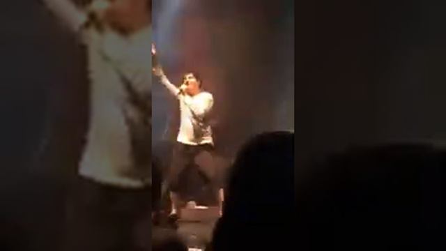 Sparks - Hippopotamus Tour