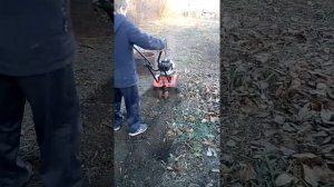 Купили мотоплуг