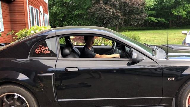 Huge Ford Mustang GT Burnout (NEIGHBORS LOVED IT) смотреть онлайн