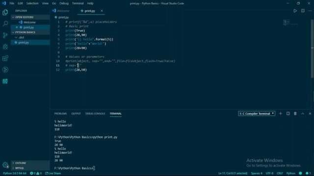 The complete Python print() function. GitHub Source Code attached смотреть онлайн