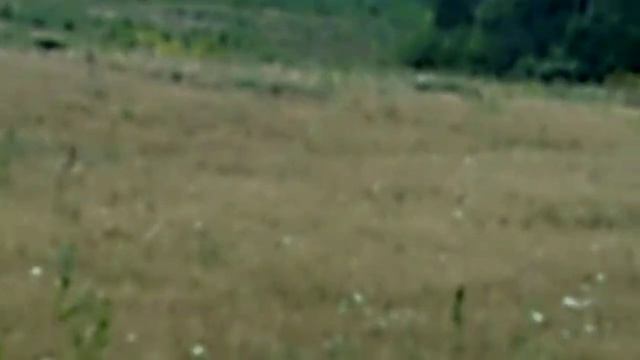 косим сено на тракторе смотреть онлайн