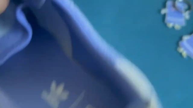 Adidas Campus "Towelie" Review + in feet// обзор смотреть онлайн