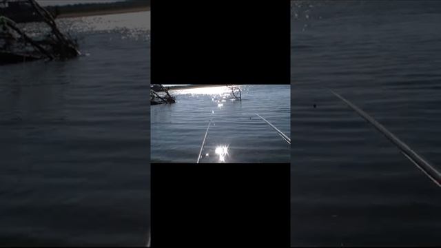 рыбалка на реке с сильным течением. смотреть онлайн